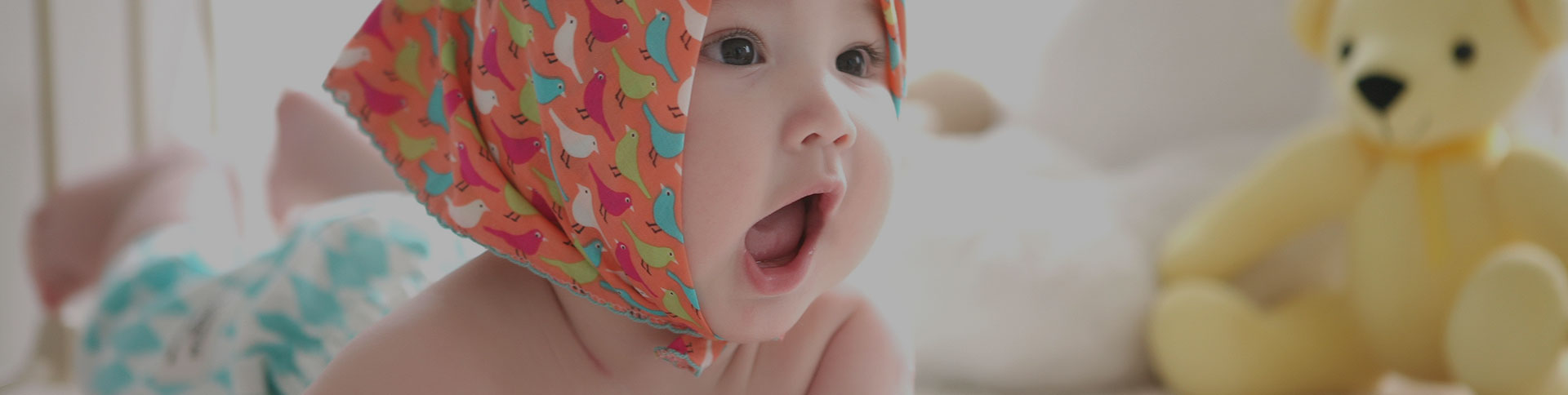 寶拾貳·電子商務平臺|一網(wǎng)天行-網(wǎng)站建設小程序APP系統(tǒng)軟件開發(fā)公司