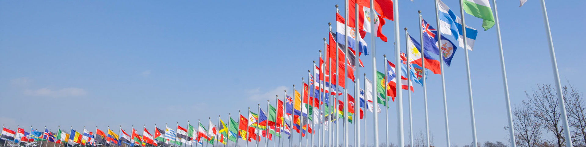 國際資料企業(yè)宣傳網(wǎng)站|一網(wǎng)天行-網(wǎng)站建設(shè)小程序APP系統(tǒng)軟件開發(fā)公司