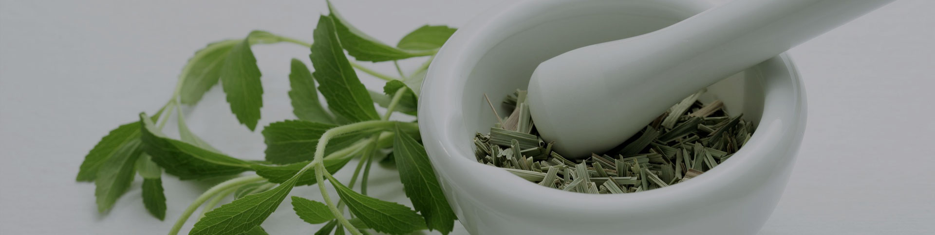 種藥吧-中藥供需信息發(fā)布平臺(tái)|一網(wǎng)天行-網(wǎng)站建設(shè)小程序APP系統(tǒng)軟件開發(fā)公司