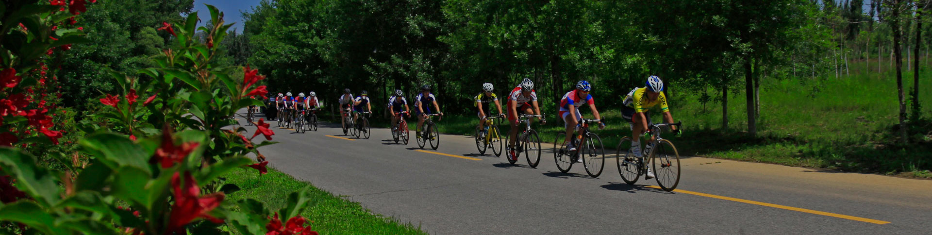 京西北旅游宣傳網站|一網天行-網站建設小程序APP系統(tǒng)軟件開發(fā)公司