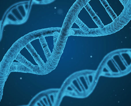 360基因官方網(wǎng)站|一網(wǎng)天行-網(wǎng)站建設小程序APP系統(tǒng)軟件開發(fā)公司