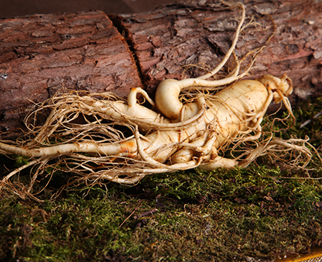 正德藥業(yè)-品牌營銷網(wǎng)站|一網(wǎng)天行-網(wǎng)站建設小程序APP系統(tǒng)軟件開發(fā)公司