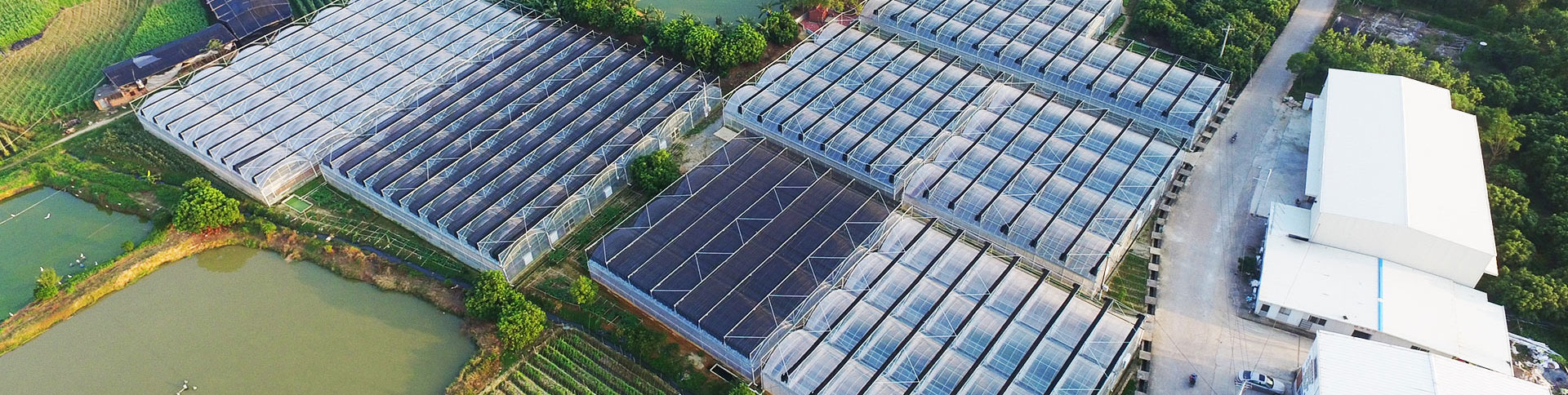 健康產(chǎn)業(yè)集團公司品牌宣傳網(wǎng)站|一網(wǎng)天行-網(wǎng)站建設(shè)小程序APP系統(tǒng)軟件開發(fā)公司